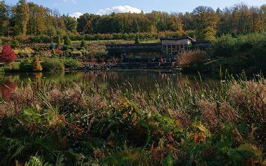 pinwyum|Plan your visit to Bedgebury National Pinetum and .
